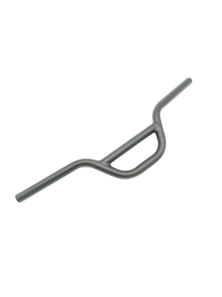 DUALTRON MINI | GUIDON