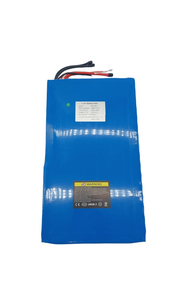 DUALTRON THUNDER 2 | BATTERIE 72V40AH