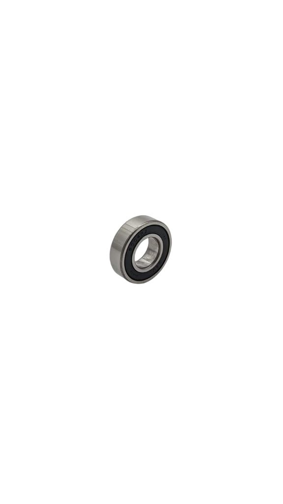 DUALTRON | ROULEMENT MOTEUR 6004RZ (COTE FLASQUE)
