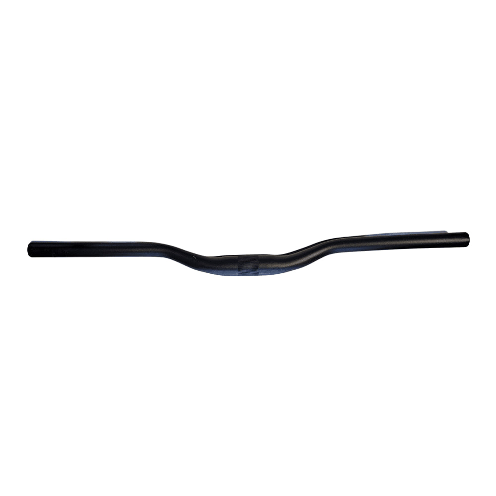 Guidon